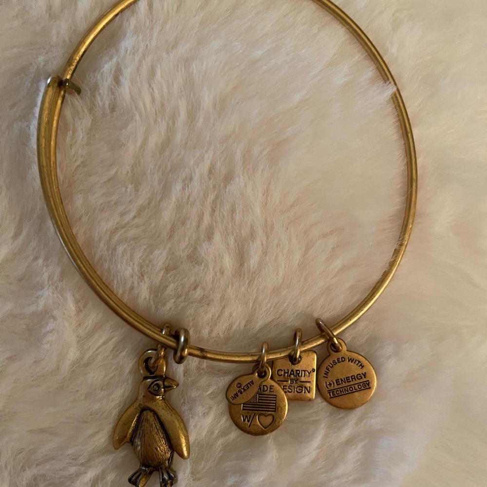 Alex & Ani Penguin Bracelet